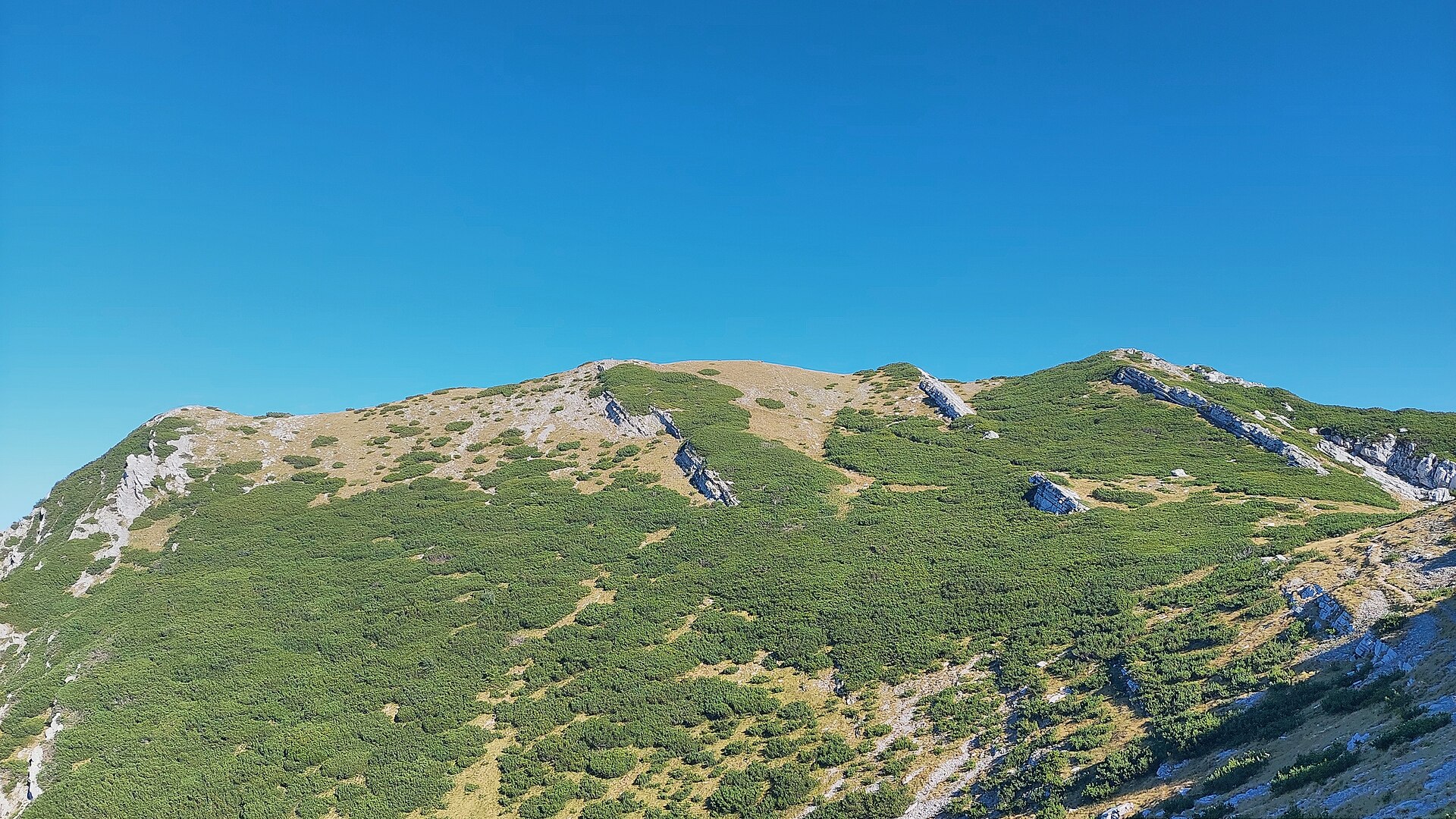 Mountains and trails