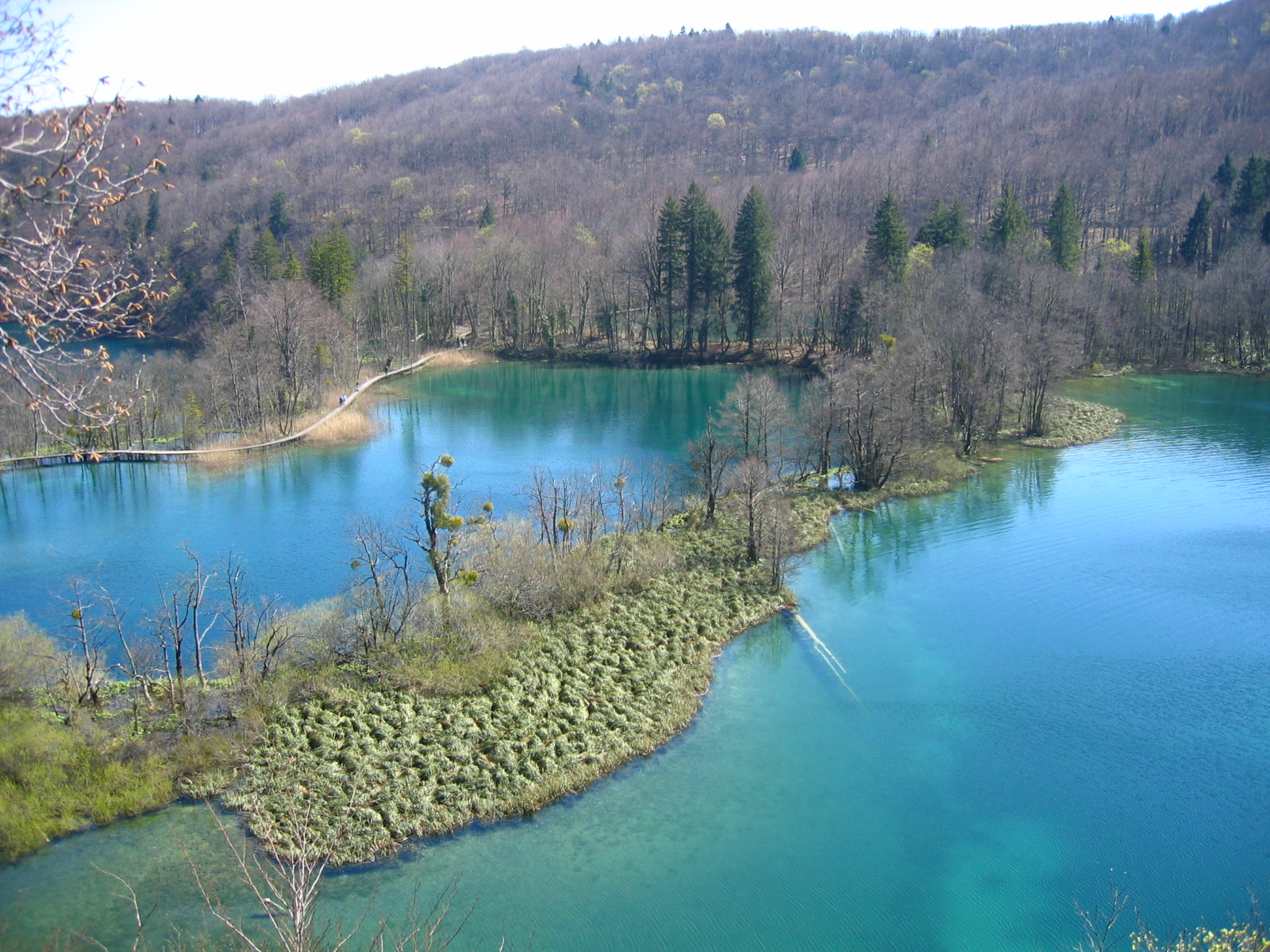 Jezero Vir
