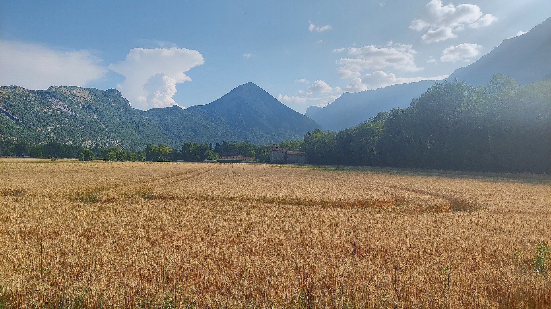 Le Pieu