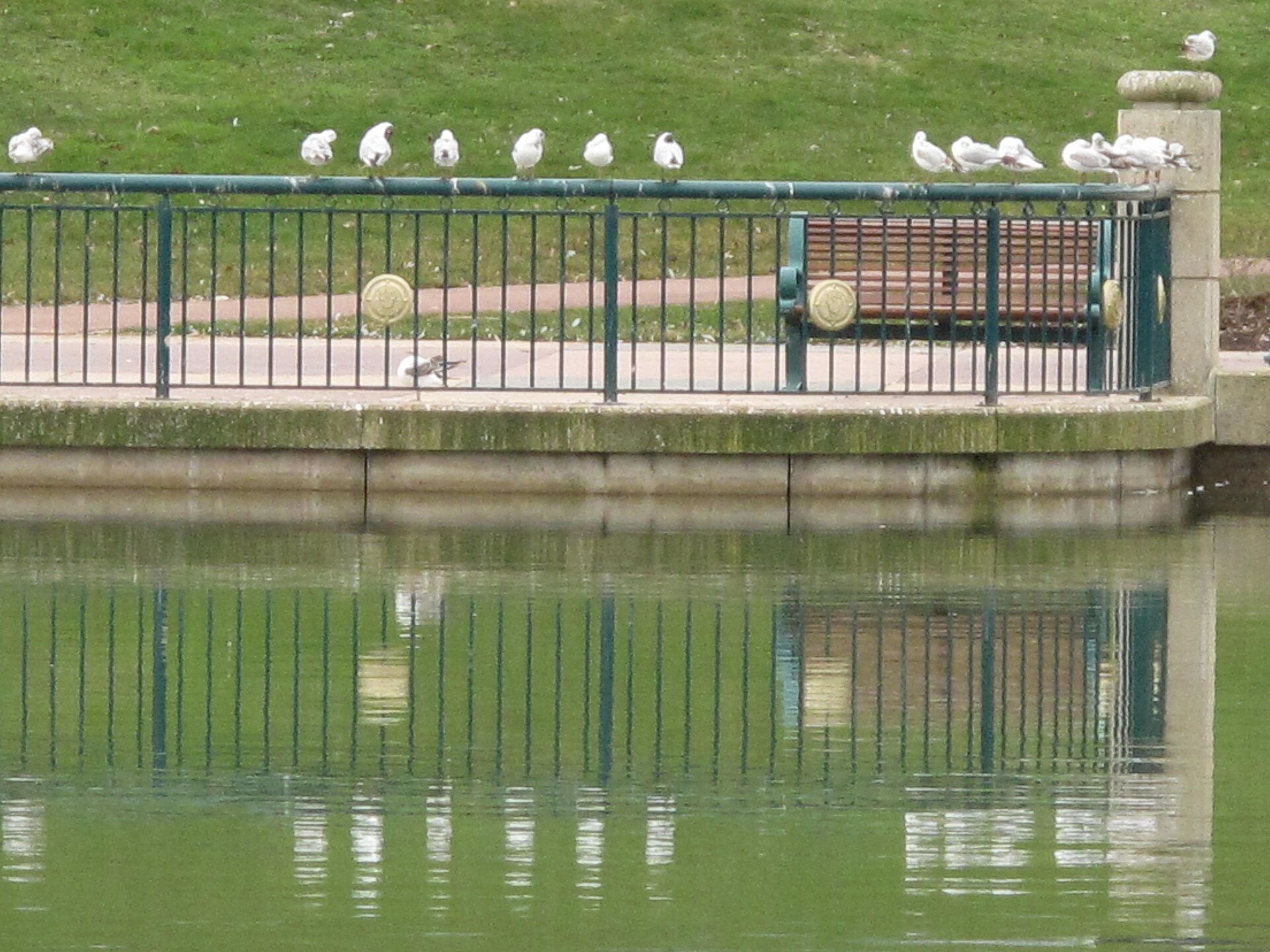 Lake Buena Vista