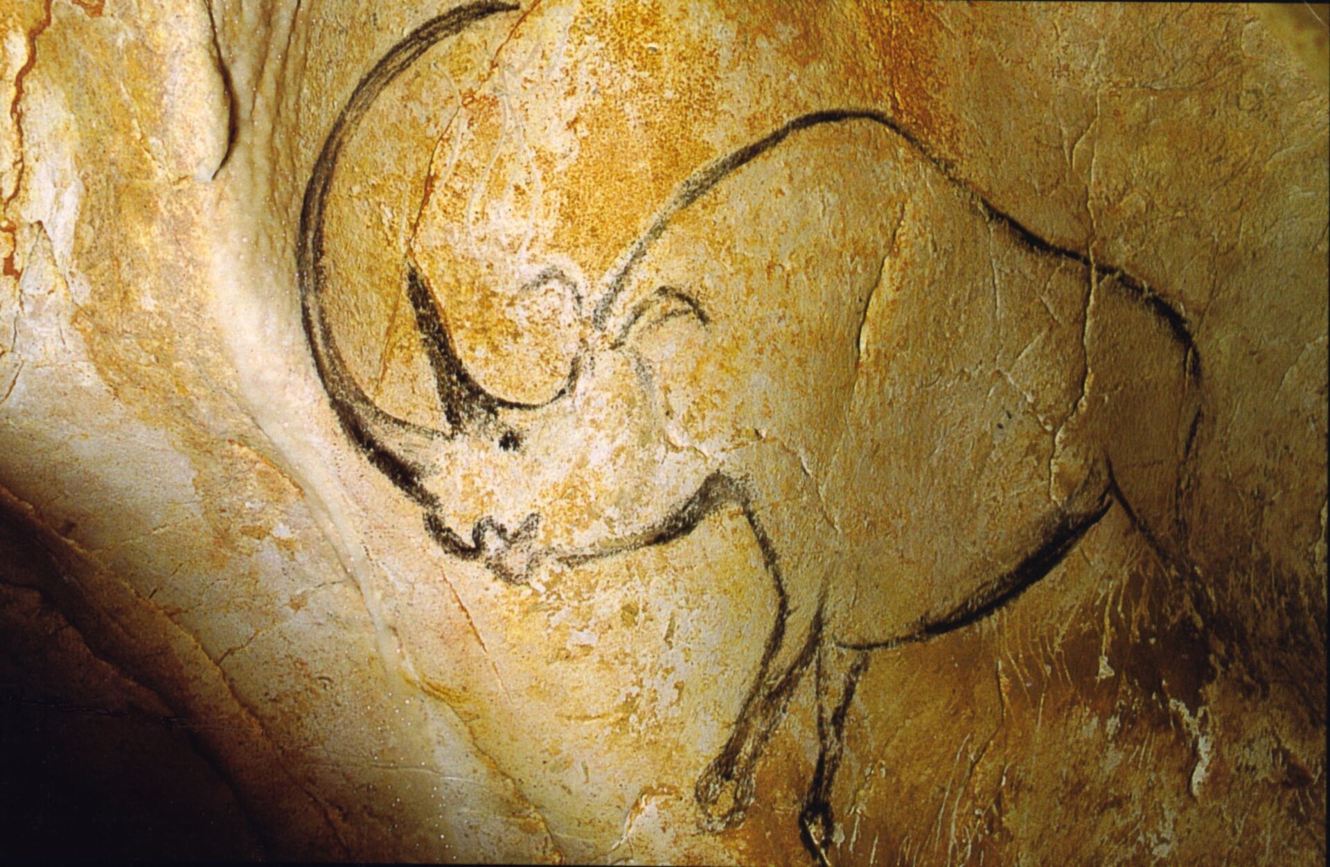 Chauvet Cave