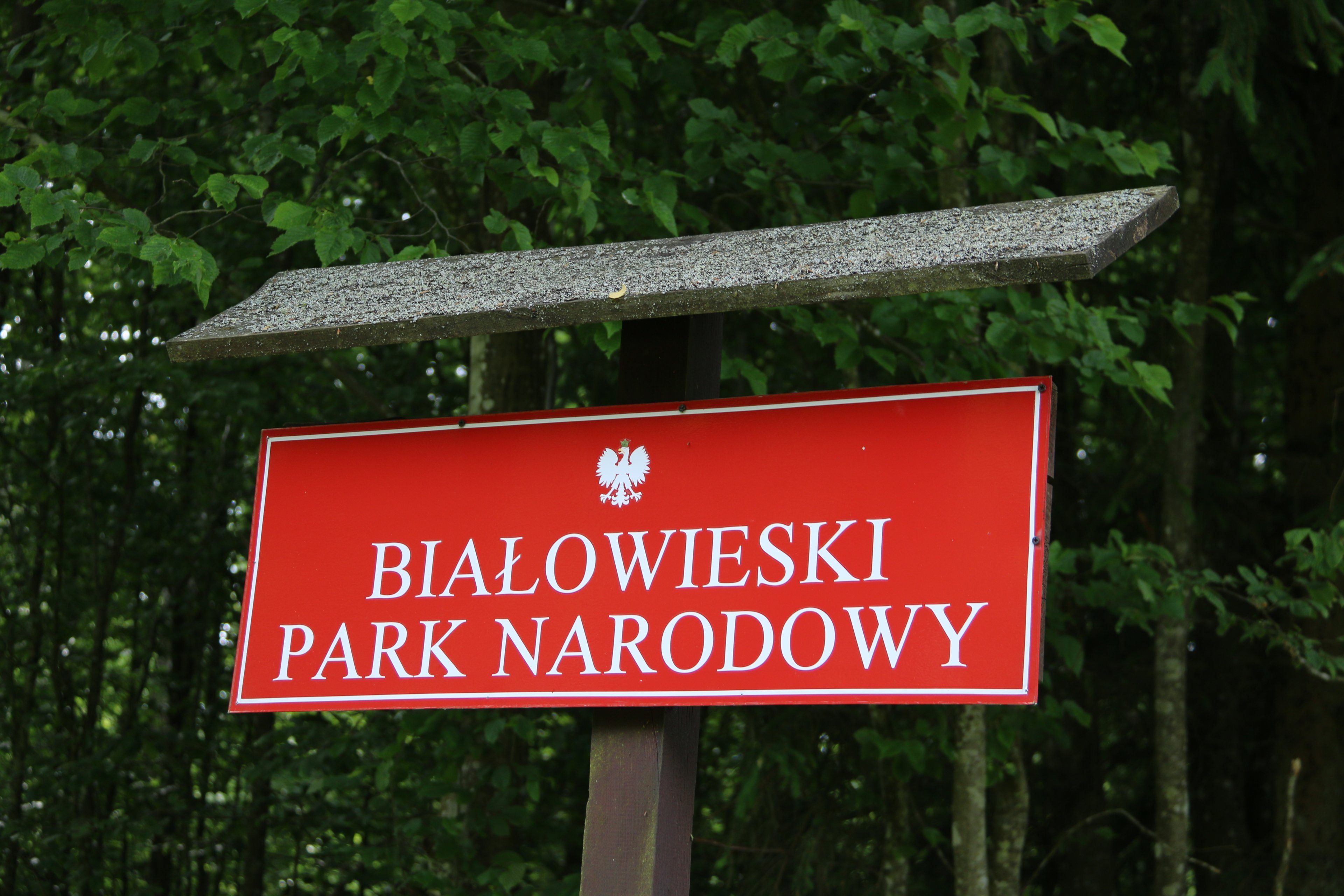 Białowieski Park Narodowy