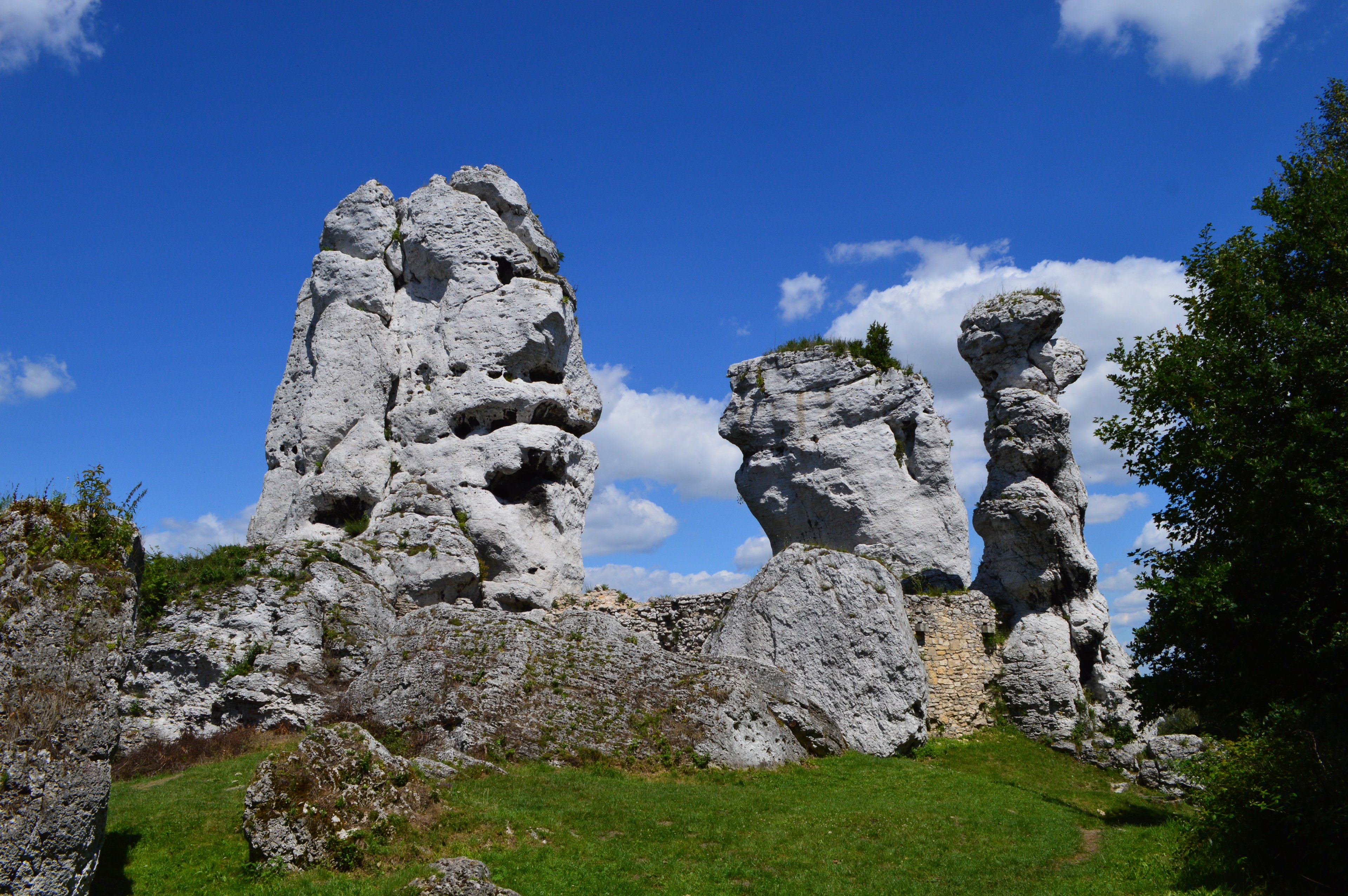Park Krajobrazowy Orlich Gniazd