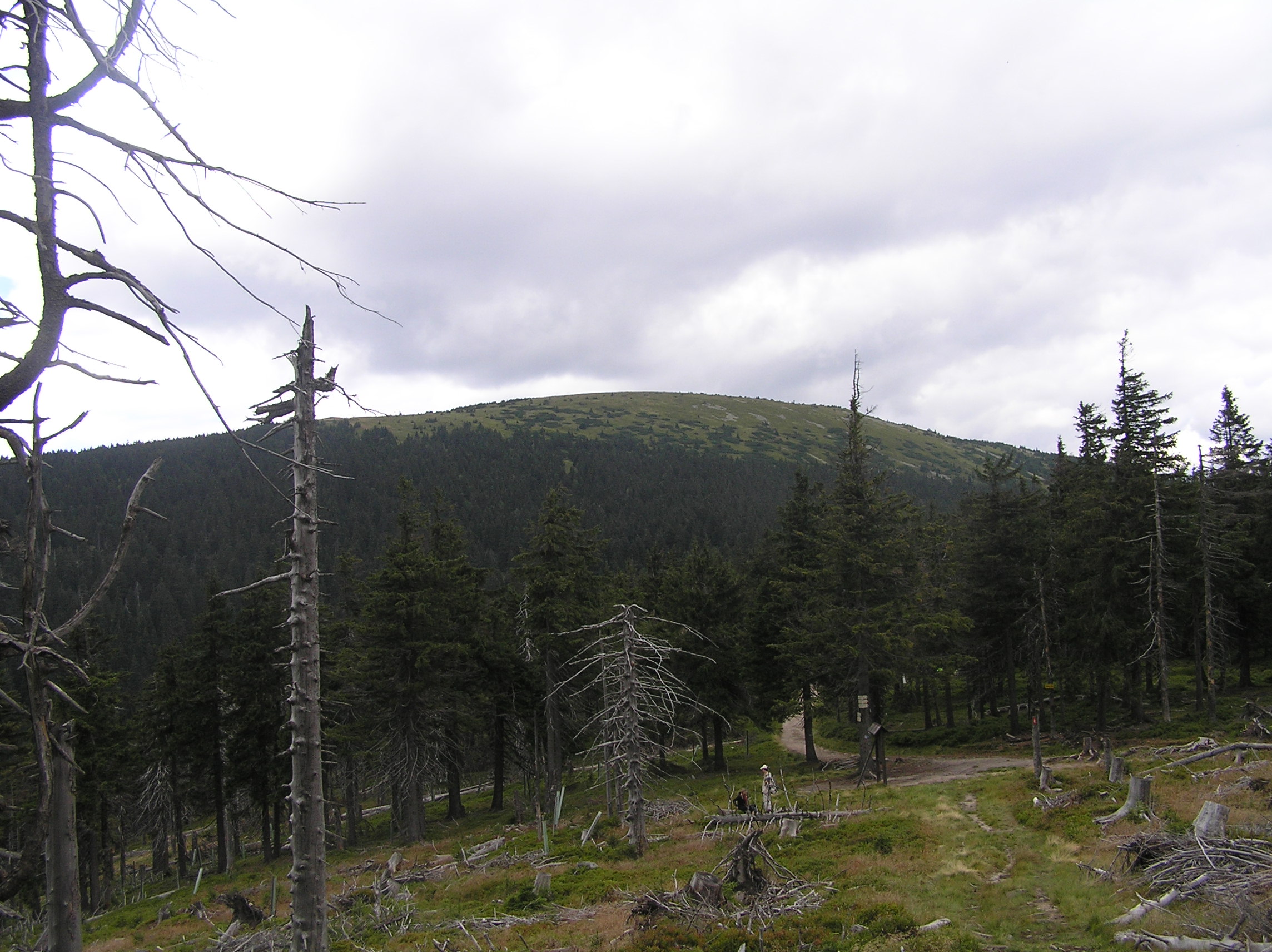 Szczyt Śnieżnik