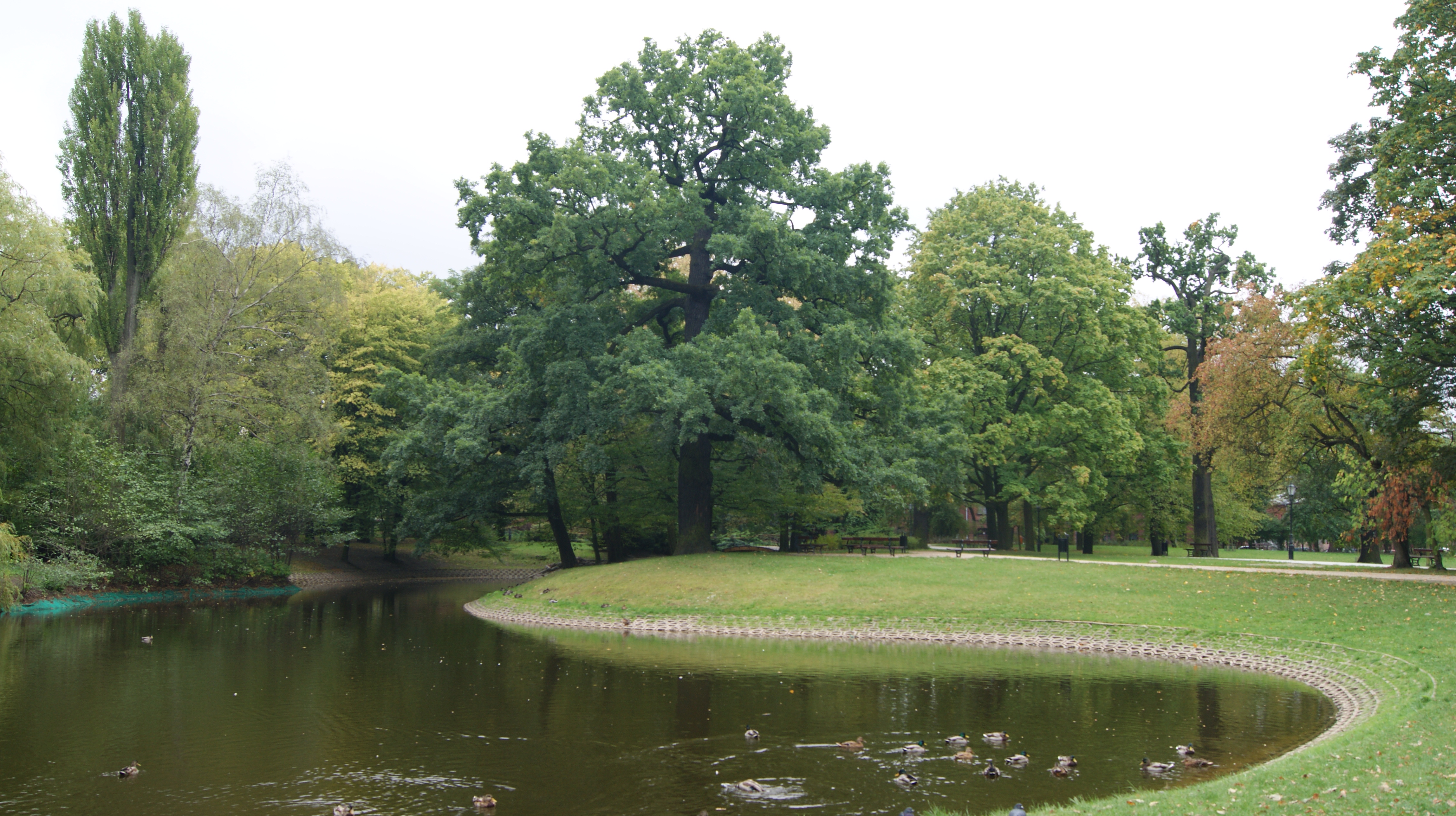 Park Źródliska w Łodzi