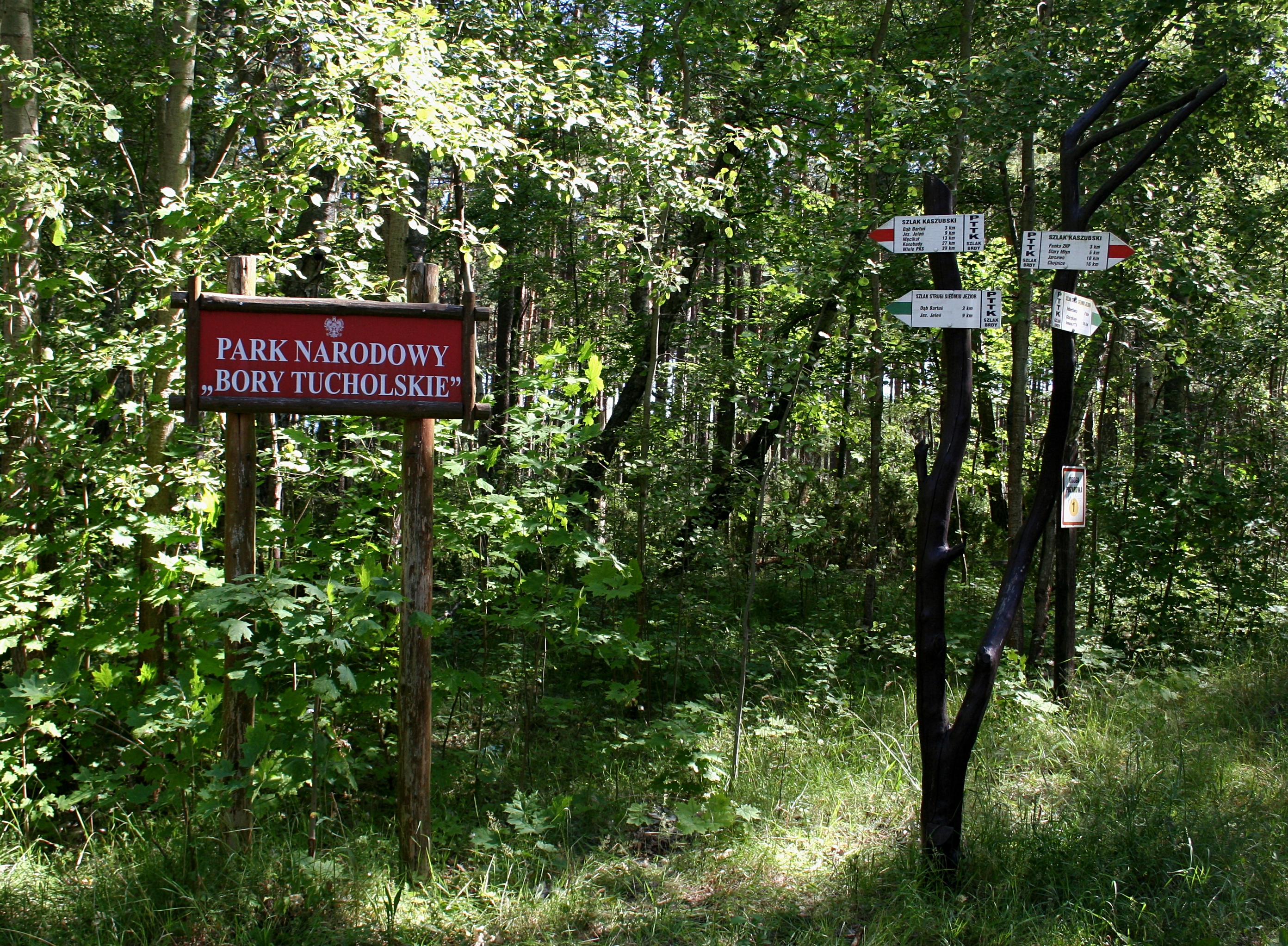 Bory Tucholskie Park Narodowy